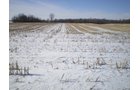 Property photo 3 - 76 Acres Offered in 4 Tracts